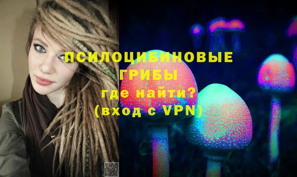 Альфа ПВП Осташков